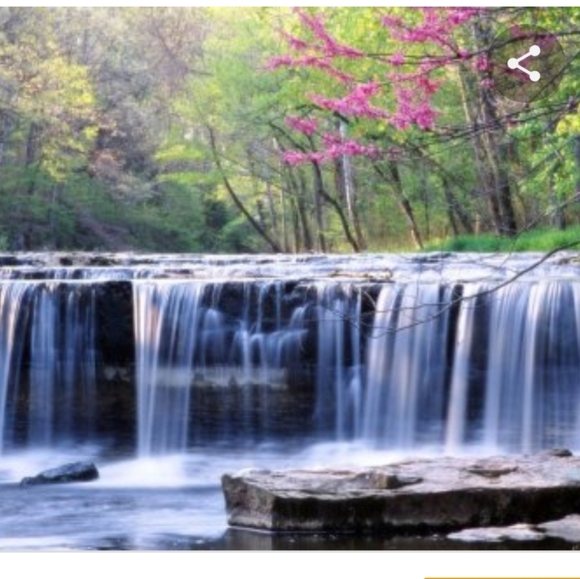 Cool Spring Soap for Men (and Women) - Picture 5 of 6